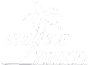 Suite Lanka logo